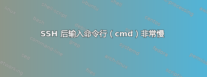 SSH 后输入命令行（cmd）非常慢