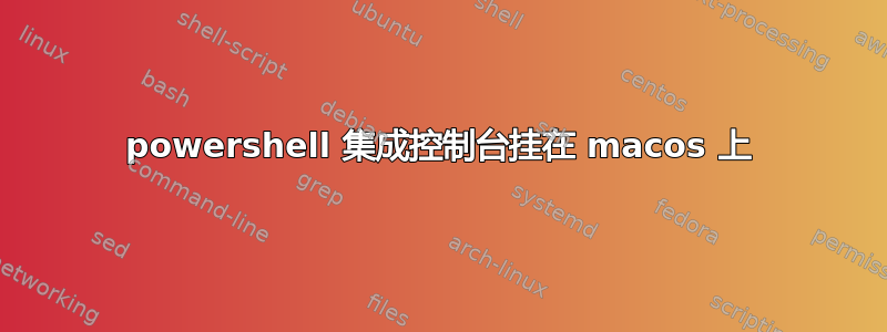 powershell 集成控制台挂在 macos 上