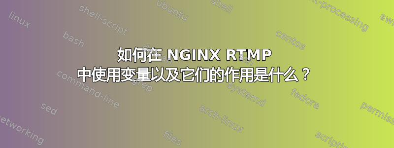 如何在 NGINX RTMP 中使用变量以及它们的作用是什么？