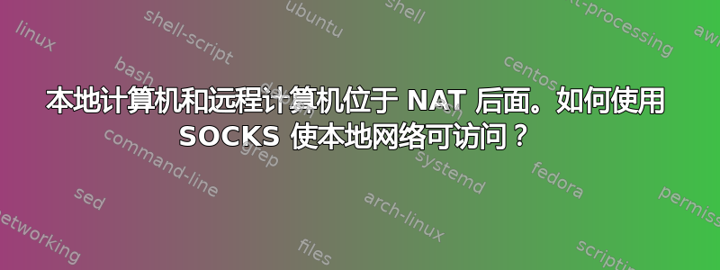 本地计算机和远程计算机位于 NAT 后面。如何使用 SOCKS 使本地网络可访问？