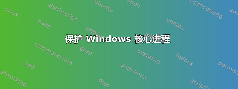 保护 Windows 核心进程