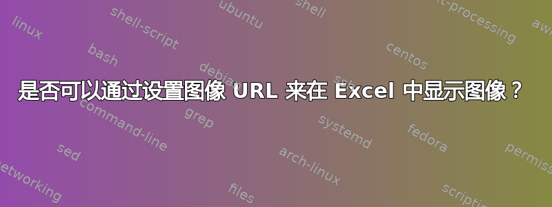 是否可以通过设置图像 URL 来在 Excel 中显示图像？