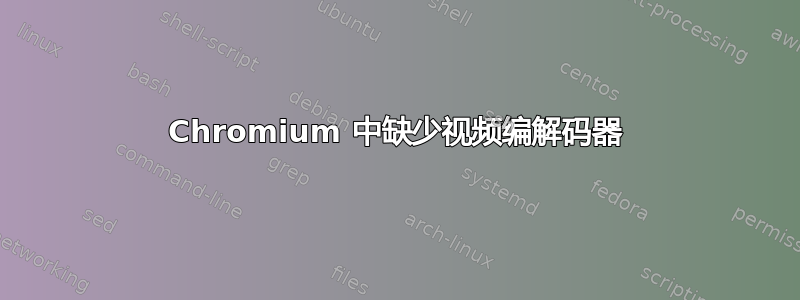 Chromium 中缺少视频编解码器