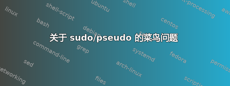 关于 sudo/pseudo 的菜鸟问题