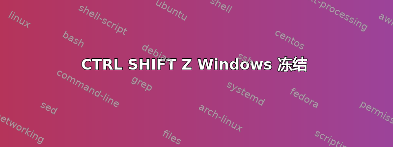 CTRL SHIFT Z Windows 冻结