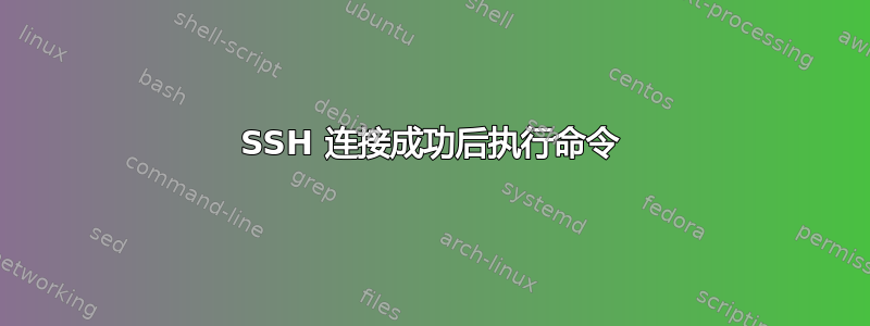 SSH 连接成功后执行命令