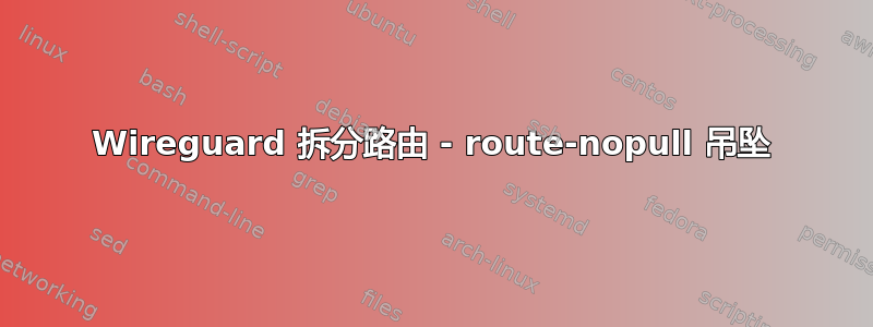 Wireguard 拆分路由 - route-nopull 吊坠