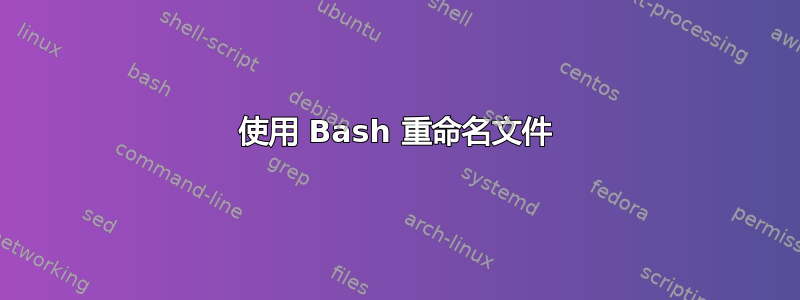 使用 Bash 重命名文件