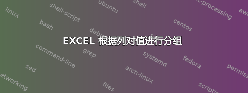 EXCEL 根据列对值进行分组