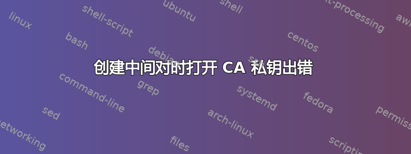 创建中间对时打开 CA 私钥出错