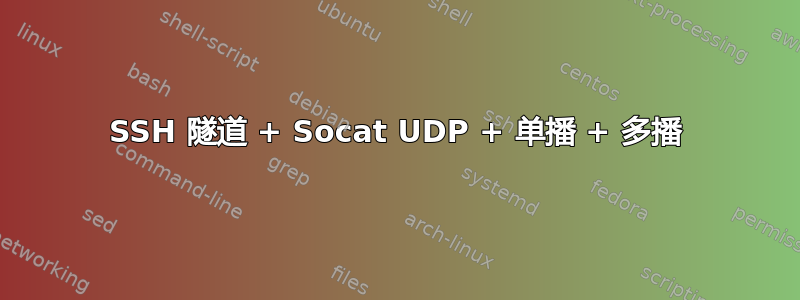 SSH 隧道 + Socat UDP + 单播 + 多播