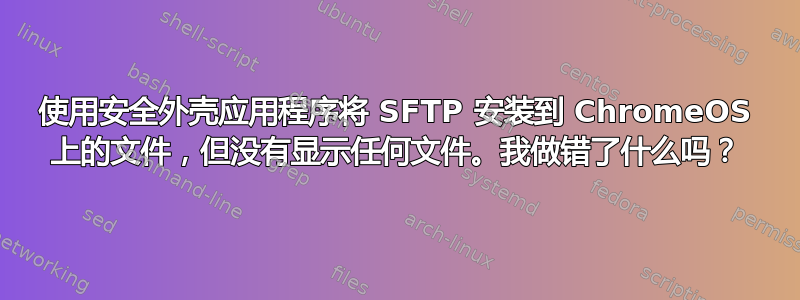 使用安全外壳应用程序将 SFTP 安装到 ChromeOS 上的文件，但没有显示任何文件。我做错了什么吗？