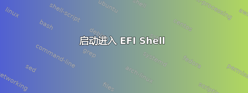 启动进入 EFI Shell