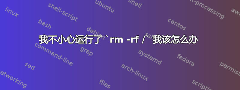 我不小心运行了 `rm -rf /` 我该怎么办