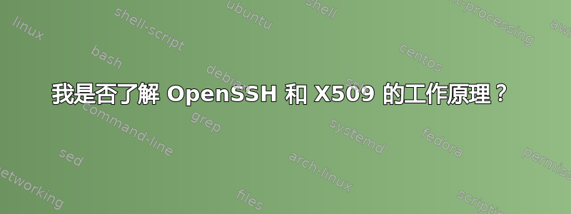 我是否了解 OpenSSH 和 X509 的工作原理？