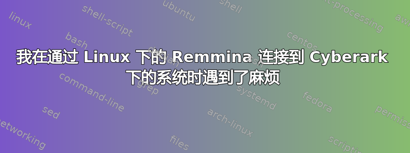 我在通过 Linux 下的 Remmina 连接到 Cyber​​ark 下的系统时遇到了麻烦