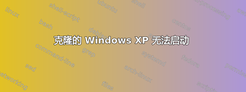 克隆的 Windows XP 无法启动