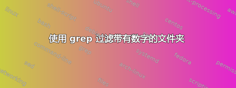 使用 grep 过滤带有数字的文件夹