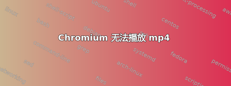 Chromium 无法播放 mp4