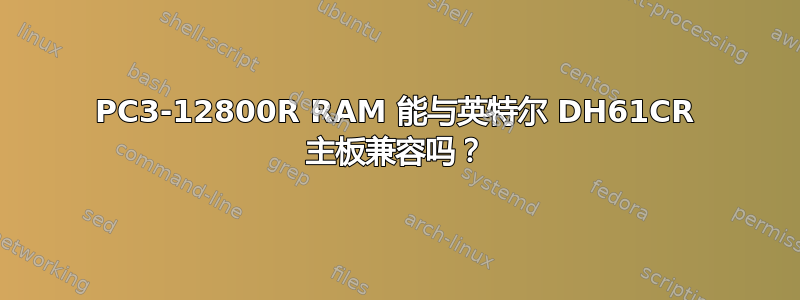 PC3-12800R RAM 能与英特尔 DH61CR 主板兼容吗？