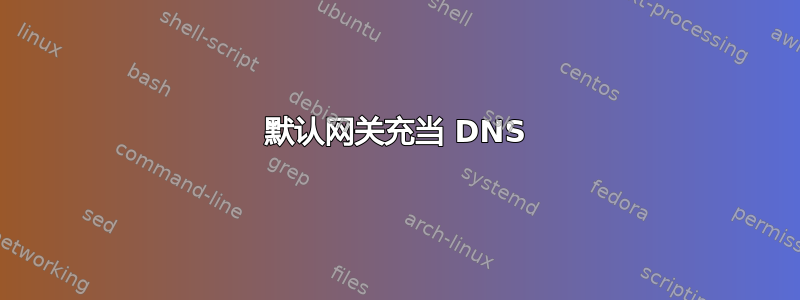 默认网关充当 DNS