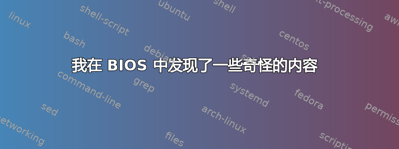 我在 BIOS 中发现了一些奇怪的内容 