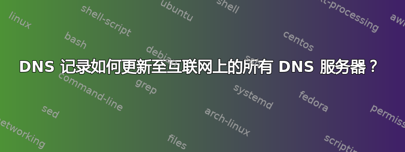 DNS 记录如何更新至互联网上的所有 DNS 服务器？