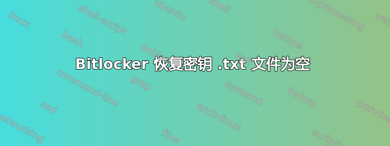 Bitlocker 恢复密钥 .txt 文件为空