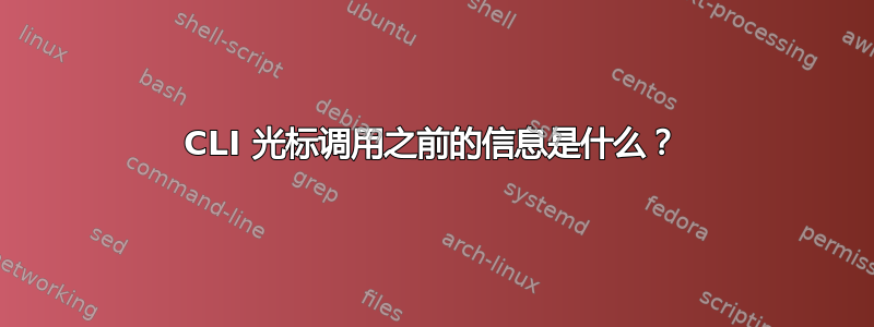 CLI 光标调用之前的信息是什么？