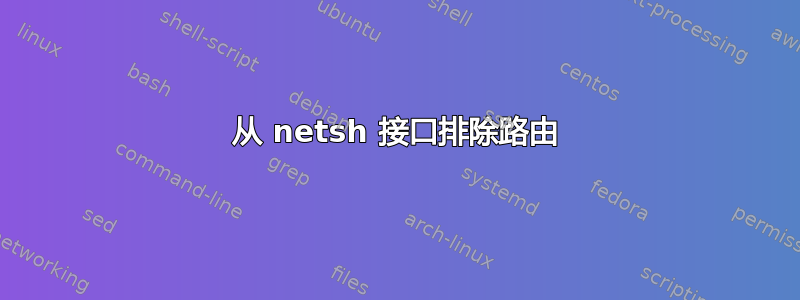 从 netsh 接口排除路由