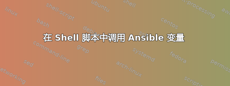 在 Shell 脚本中调用 Ansible 变量