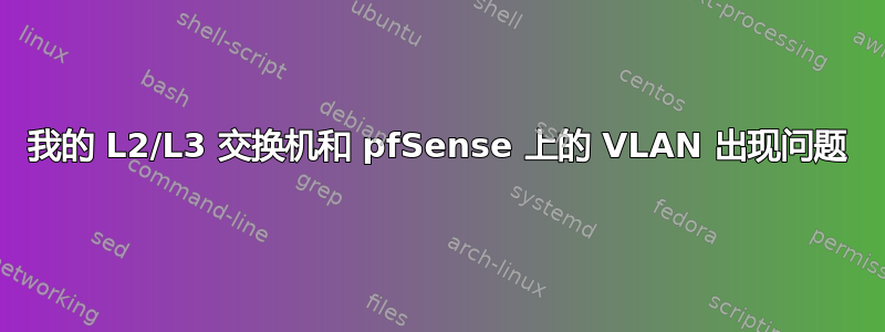 我的 L2/L3 交换机和 pfSense 上的 VLAN 出现问题