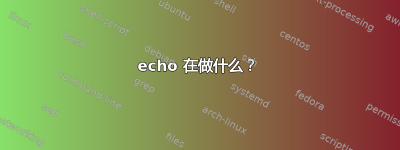 echo 在做什么？