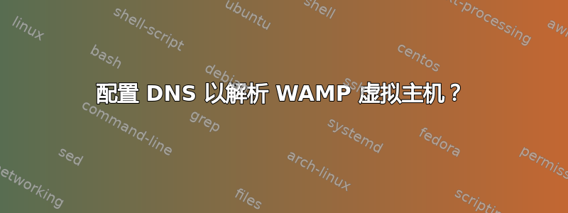 配置 DNS 以解析 WAMP 虚拟主机？