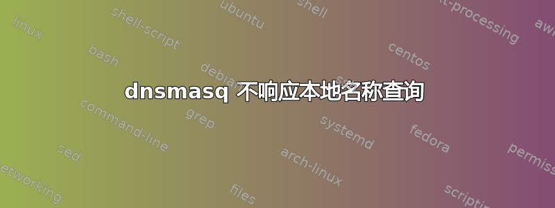 dnsmasq 不响应本地名称查询