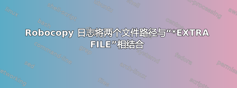 Robocopy 日志将两个文件路径与“*EXTRA FILE”相结合