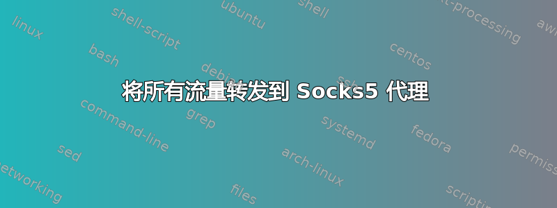 将所有流量转发到 Socks5 代理