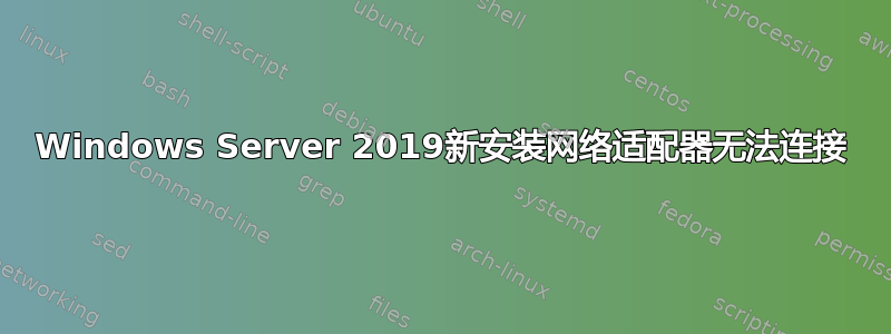 Windows Server 2019新安装网络适配器无法连接