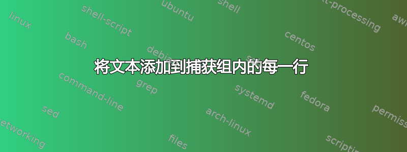 将文本添加到捕获组内的每一行