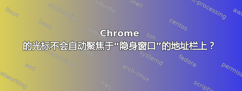 Chrome 的光标不会自动聚焦于“隐身窗口”的地址栏上？