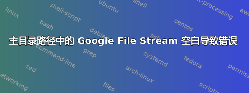 主目录路径中的 Google File Stream 空白导致错误