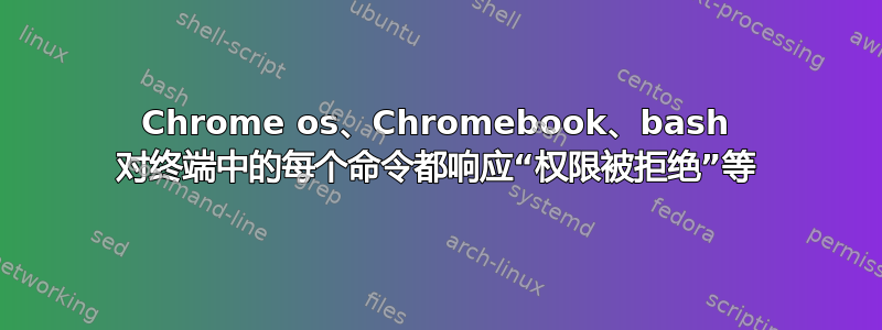 Chrome os、Chromebook、bash 对终端中的每个命令都响应“权限被拒绝”等