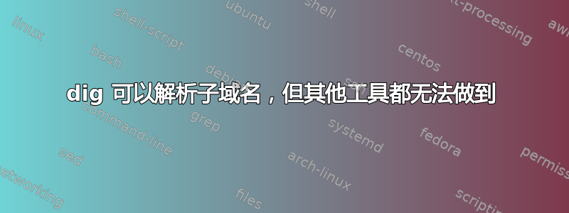 dig 可以解析子域名，但其他工具都无法做到