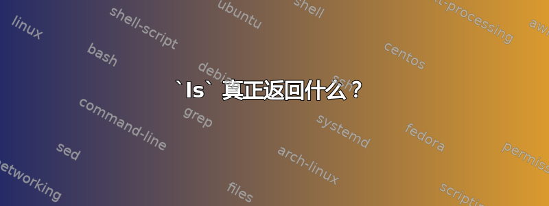 `ls` 真正返回什么？