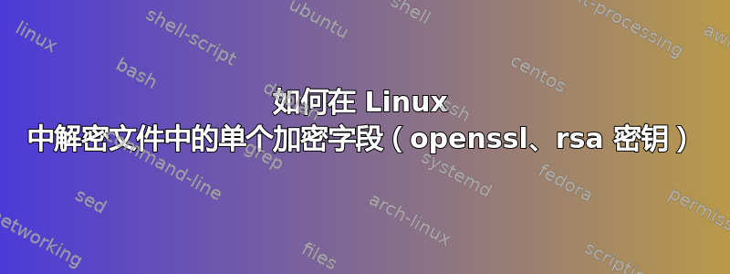 如何在 Linux 中解密文件中的单个加密字段（openssl、rsa 密钥）