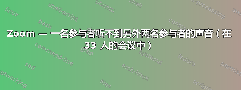 Zoom — 一名参与者听不到另外两名参与者的声音（在 33 人的会议中）