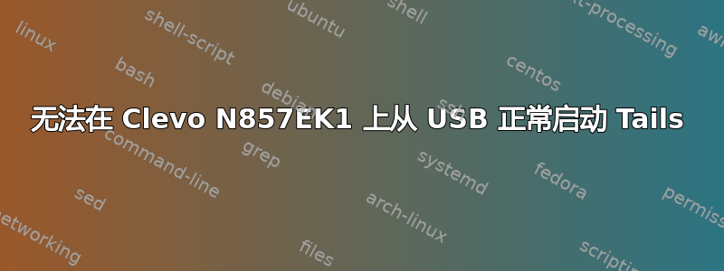 无法在 Clevo N857EK1 上从 USB 正常启动 Tails