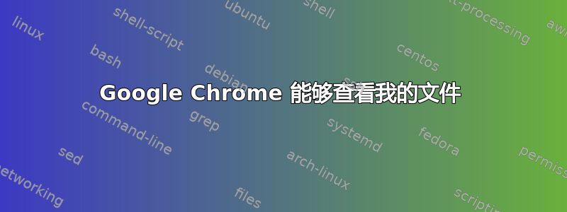 Google Chrome 能够查看我的文件