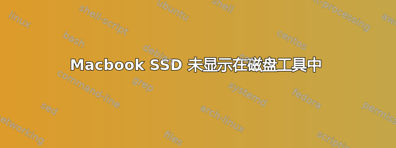 Macbook SSD 未显示在磁盘工具中