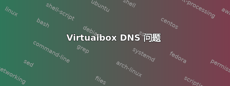 Virtualbox DNS 问题